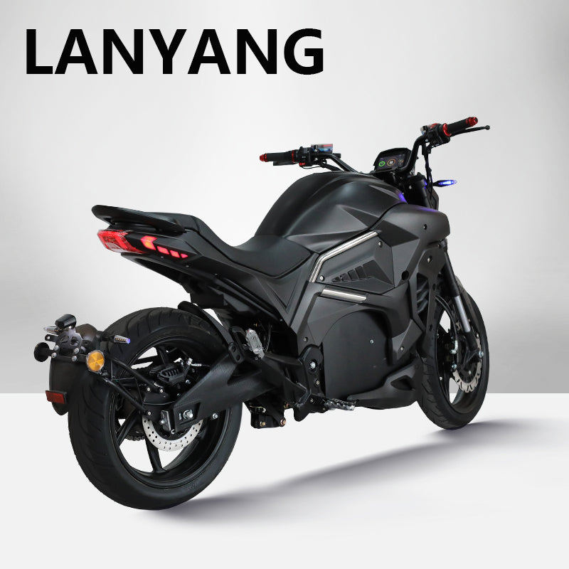 DIAVEL-M electric motorcycles Central chain motor Wholesale of high-speed adult motorcycles