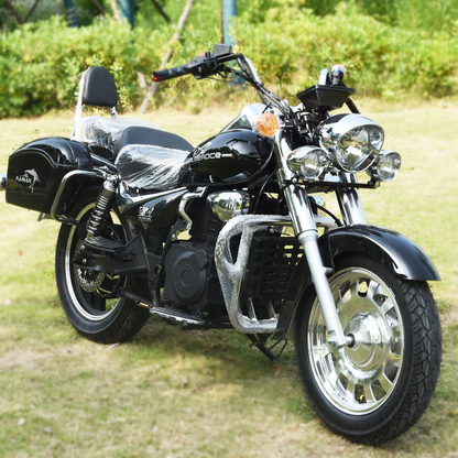 TZ Retro Comfort Cruising Electric Motorcycle