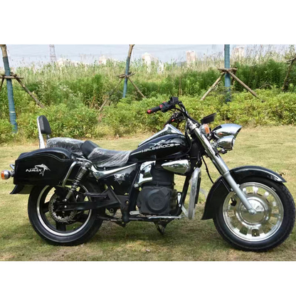 TZ Retro Comfort Cruising Electric Motorcycle