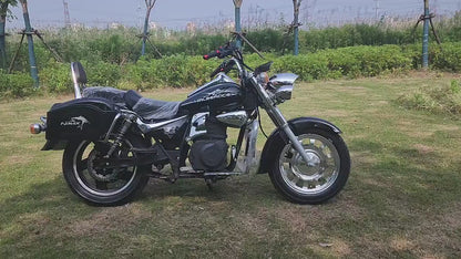 TZ Retro Comfort Cruising Electric Motorcycle